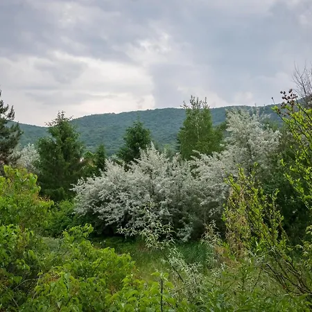 Búbánatvölgyi Apartman *