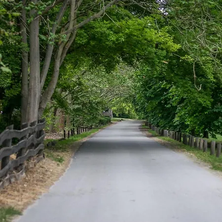 Búbánatvölgyi Apartman